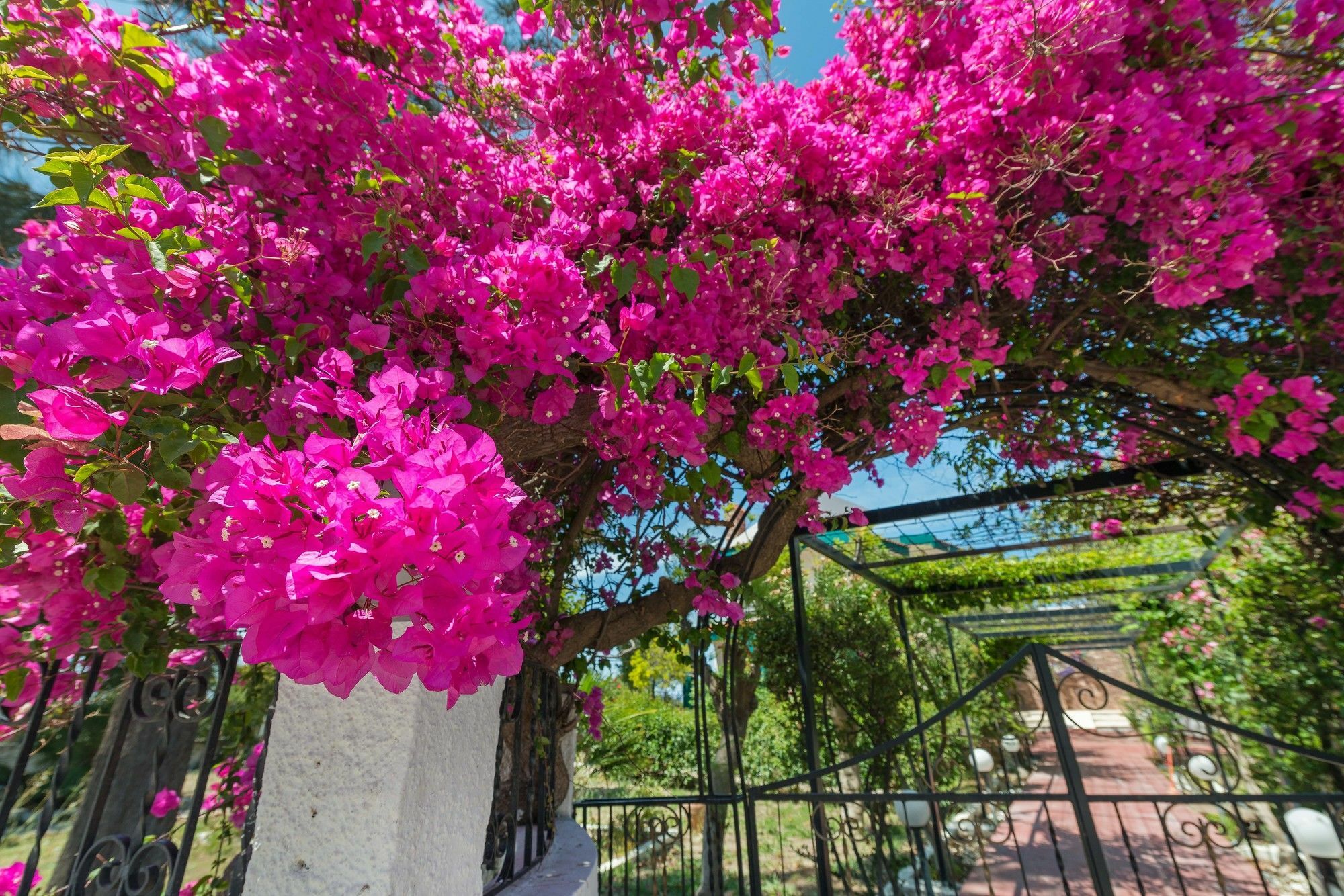 Kalavárda Villas Marianna מראה חיצוני תמונה